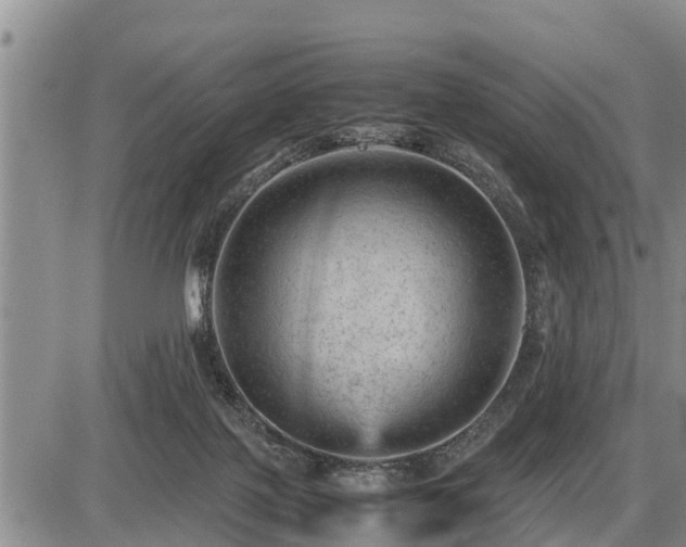 X0000087400075200704271658