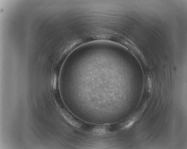 X0000087400076200704271658