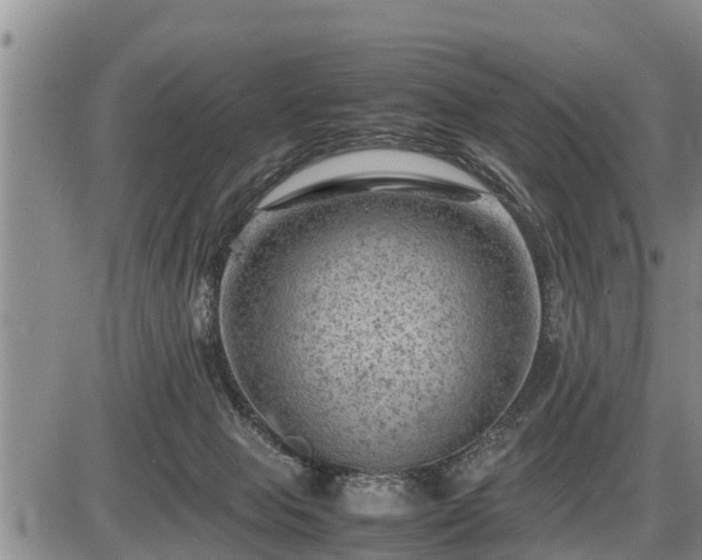 X0000087400077200704271658