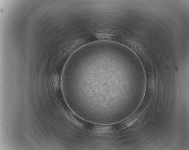 X0000087400081200704271658