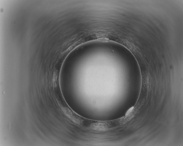 X0000087400082200704271658