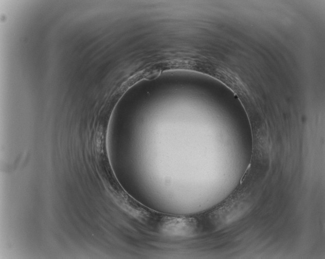 X0000087400083200704271658