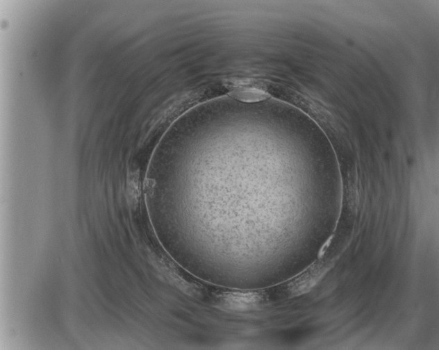 X0000087400085200704271658