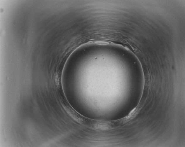 X0000087400086200704271658