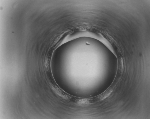 X0000087400088200704271658