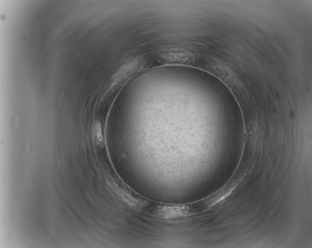 X0000087400089200704271658