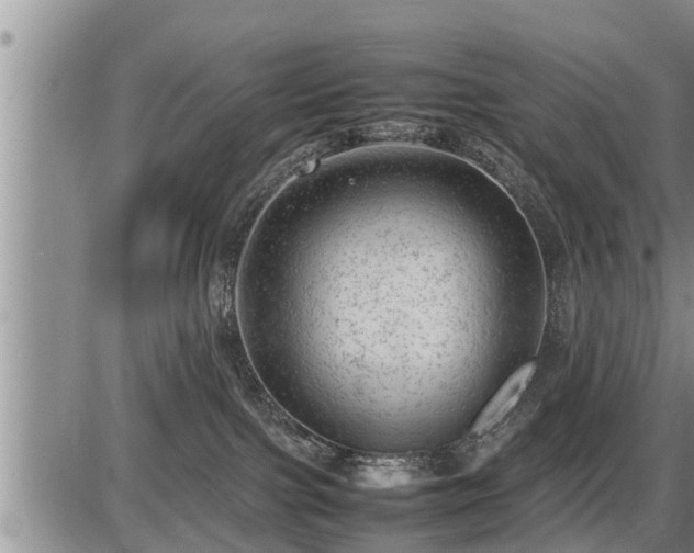 X0000087400091200704271658