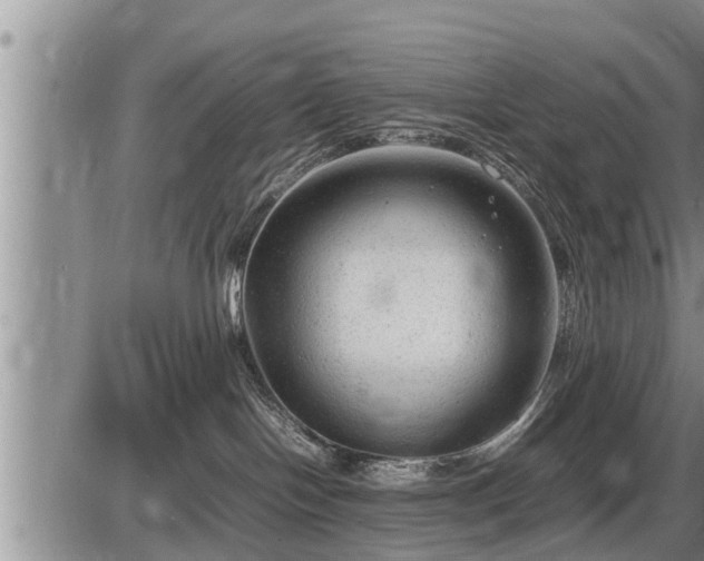 X0000087400094200704271658