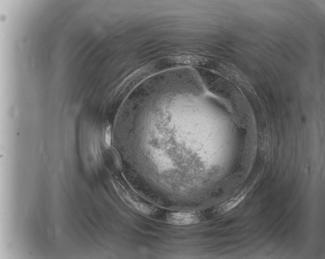 X0000087400095200704271658