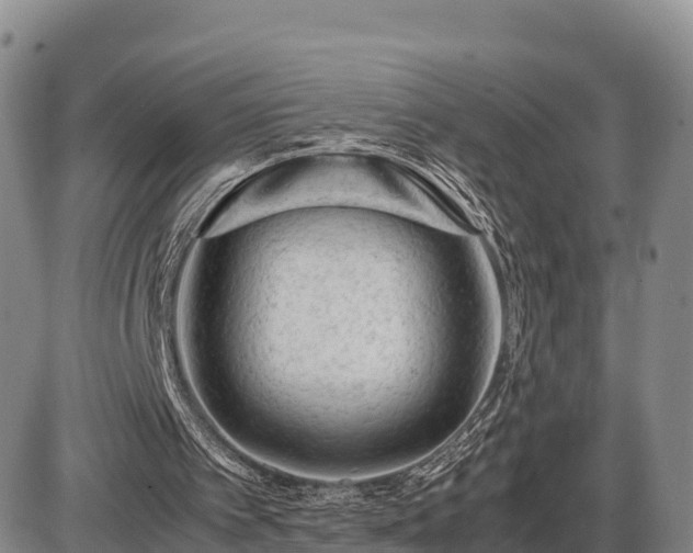 X0000087400097200704271657