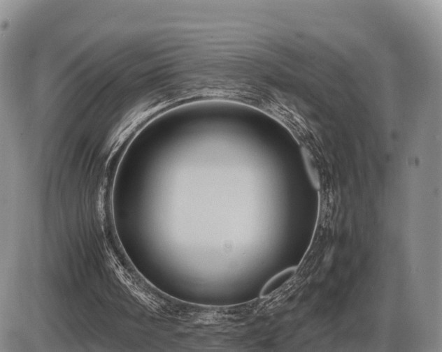 X0000087400098200704271657