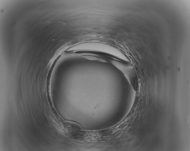 X0000087400099200704271657