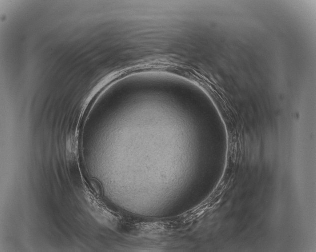 X0000087400100200704271657