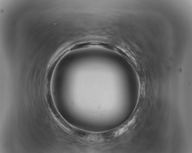 X0000087400101200704271657