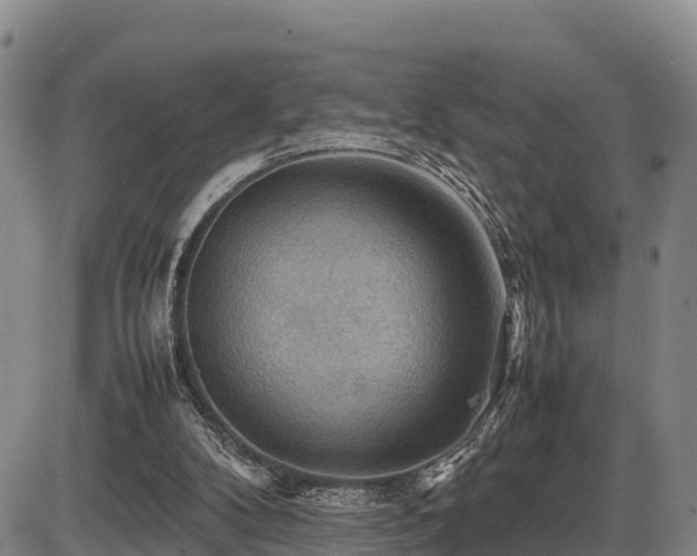 X0000087400104200704271657