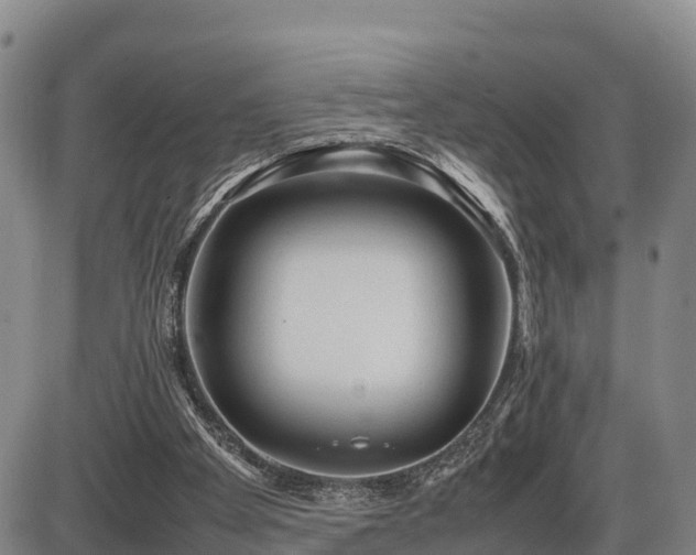 X0000087400105200704271657