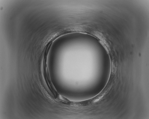 X0000087400109200704271657