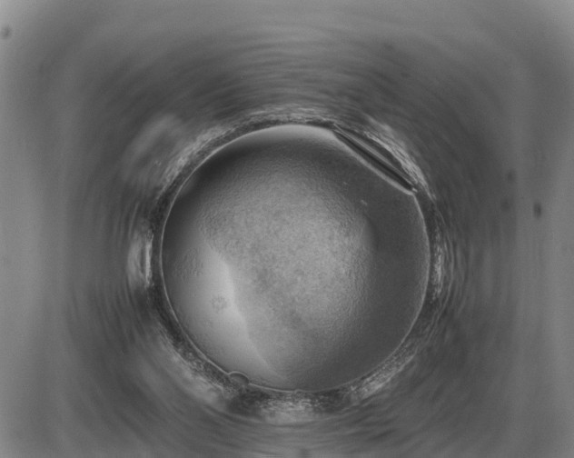 X0000087400110200704271657