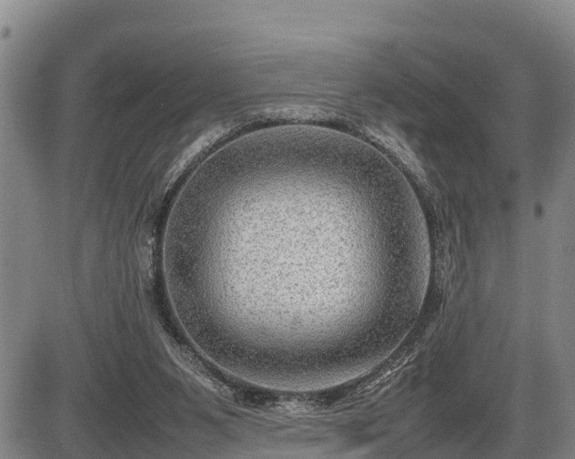 X0000087400111200704271657