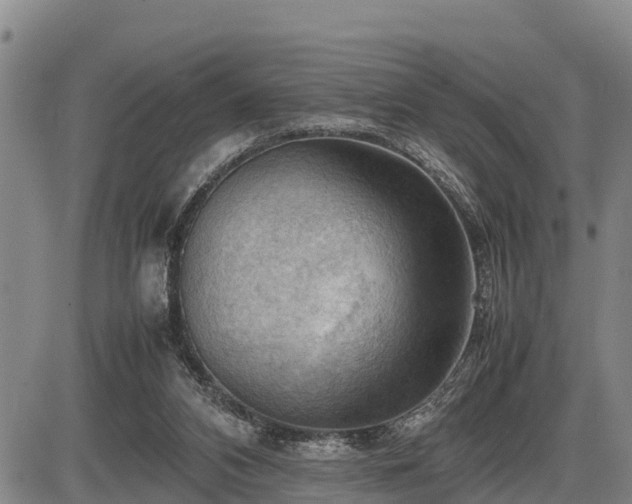 X0000087400112200704271657