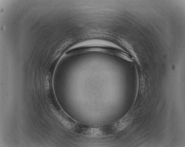 X0000087400114200704271657