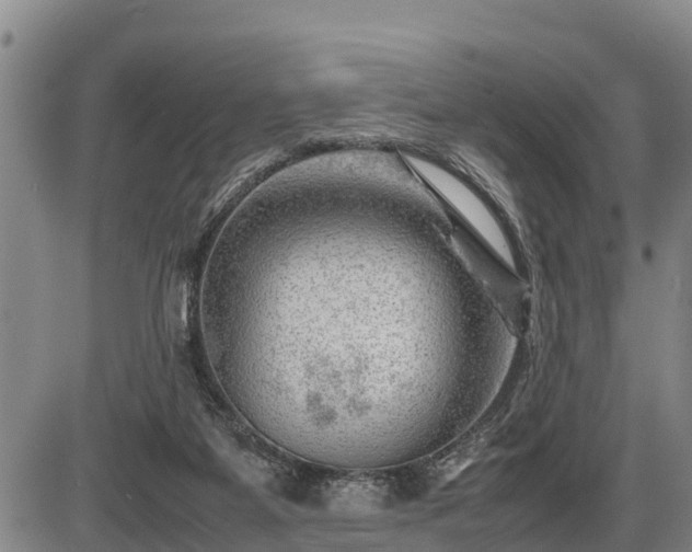 X0000087400115200704271657