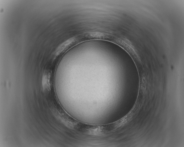 X0000087400116200704271657