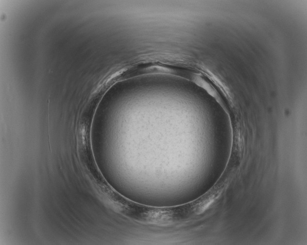 X0000087400117200704271657