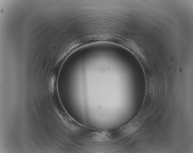 X0000087400118200704271657