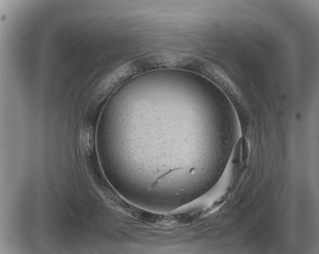 X0000087400119200704271657