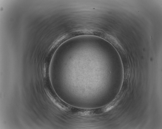 X0000087400120200704271657