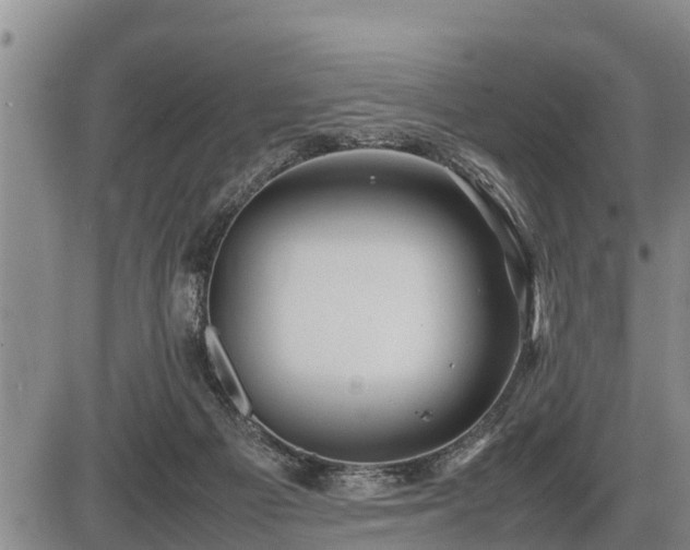 X0000087400121200704271657