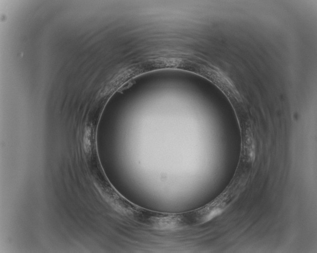 X0000087400122200704271657