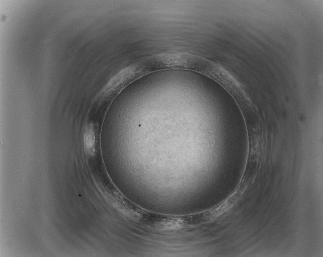 X0000087400124200704271657