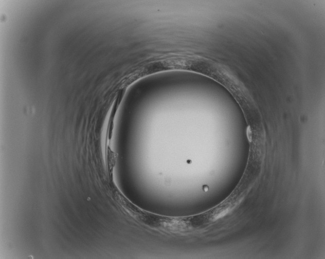 X0000087400125200704271657