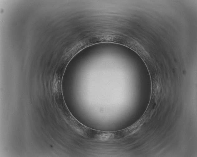 X0000087400126200704271657