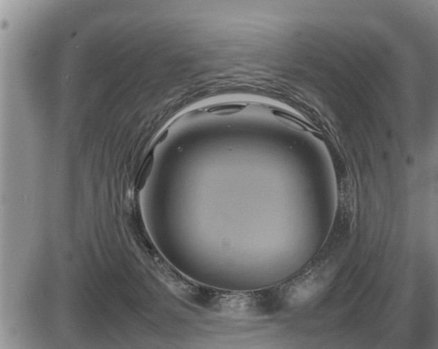 X0000087400127200704271657