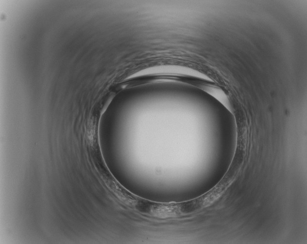 X0000087400129200704271657