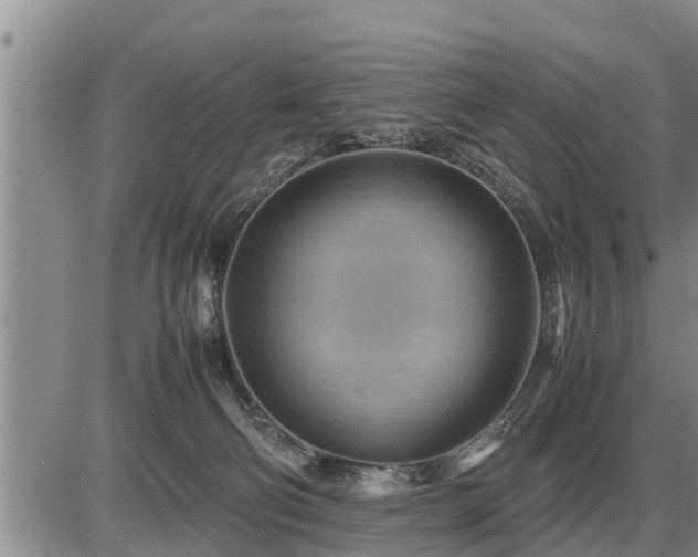 X0000087400130200704271657