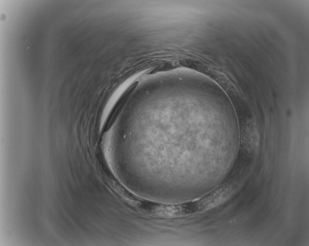 X0000087400131200704271657