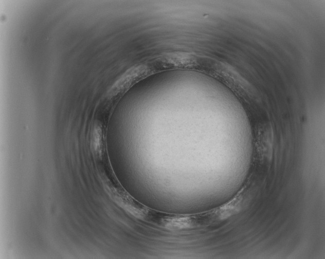 X0000087400132200704271657