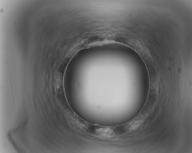 X0000087400133200704271657