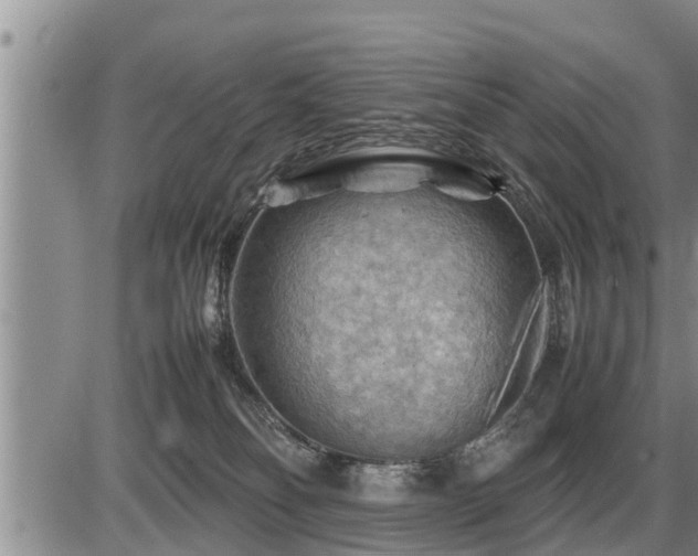 X0000087400134200704271657