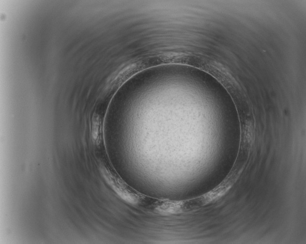 X0000087400138200704271656