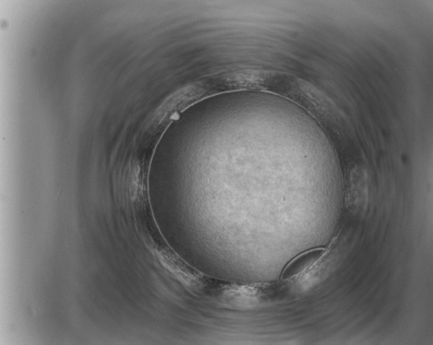 X0000087400140200704271656