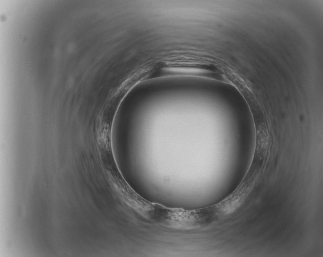 X0000087400141200704271656