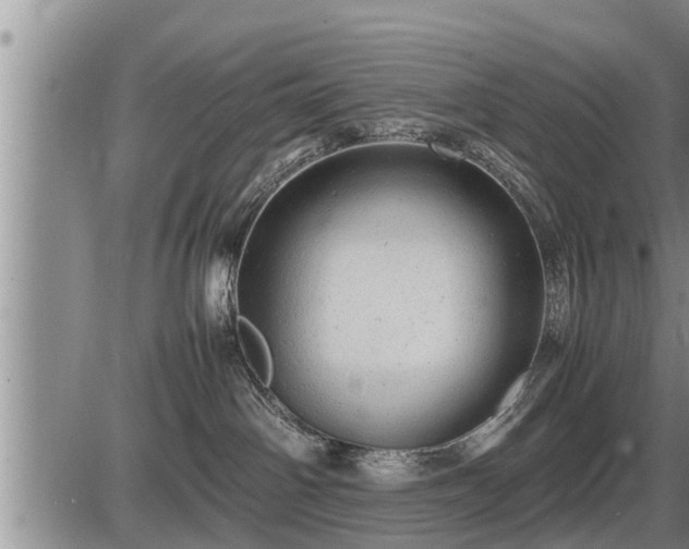 X0000087400142200704271656