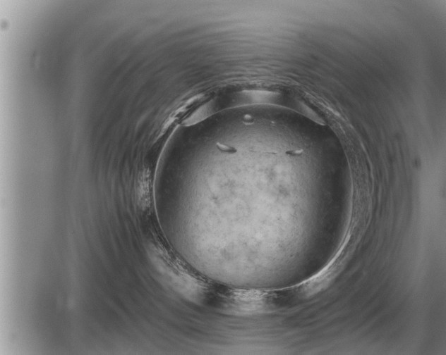 X0000087400144200704271656