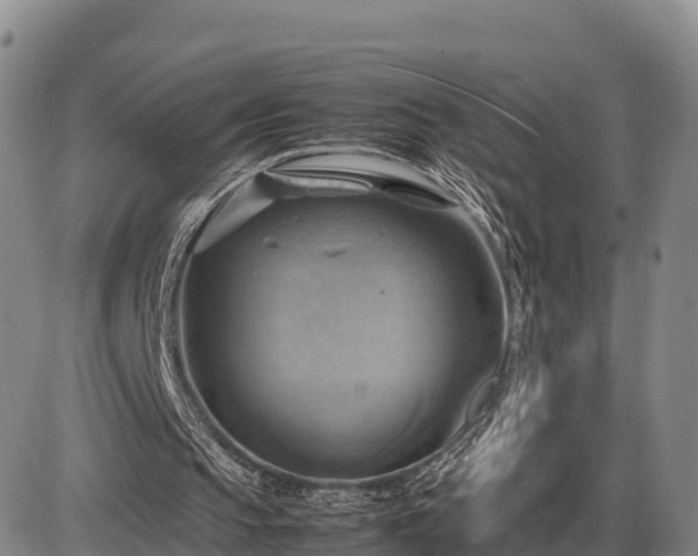 X0000087400145200704271656