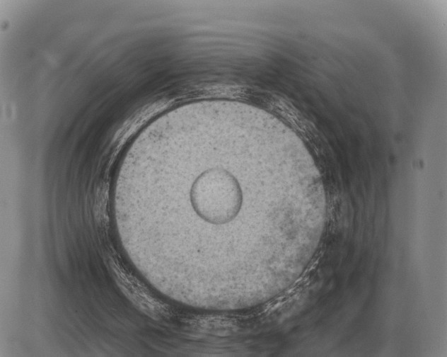 X0000087400146200704271656